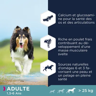 Calcium et glucosamine pour la santé des os, riche en poulet frais, omégas 6 et 3 pour peau et pelage. Pour chien adulte 1,5–6 ans, plus de 25 kg.