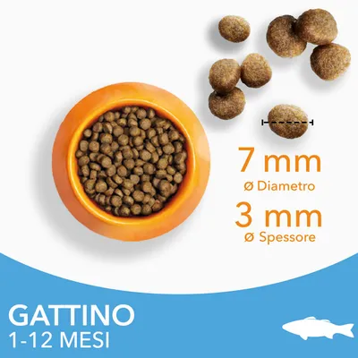 Crocchette per gattino 1–12 mesi, diametro 7 mm, spessore 3 mm, visibili in una ciotola arancione e sparse. Testo: GATTINO 1–12 MESI, 7 mm diametro, 3 mm spessore.