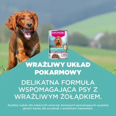 Eukanuba Special Care Puppy Sensitive Digestion