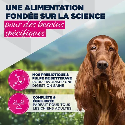 Eukanuba Special Care Adulte Digestion Sensible