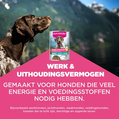 Eukanuba Special Care Adult Working & Endurance
