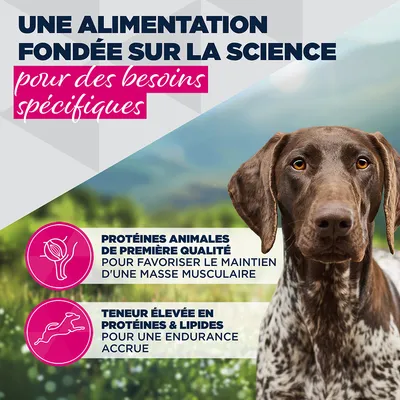 Eukanuba Special Care Adulte Travail et Endurance