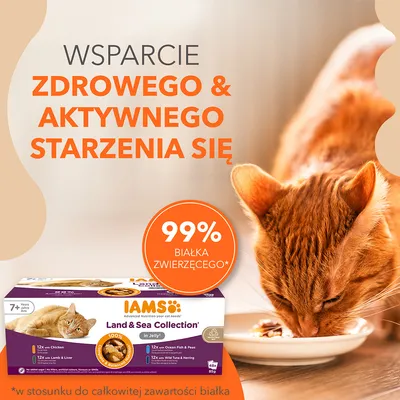 IAMS Land & Sea Collection in Jelly dla kotów 7+, wsparcie zdrowego i aktywnego starzenia się, 99% białka zwierzęcego, opakowanie 48x85g. Kot jedzący z miski.