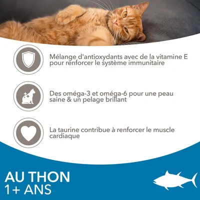 Mélange d'antioxydants avec vitamine E, oméga-3 et oméga-6, taurine. Au thon 1+ ans. Pour système immunitaire, peau saine, pelage brillant, muscle cardiaque.