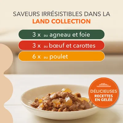 Saveurs irrésistibles Land Collection : 3× agneau et foie, 3× bœuf et carottes, 6× poulet. Délicieuses recettes en gelée. Assiette de nourriture en gelée visible.