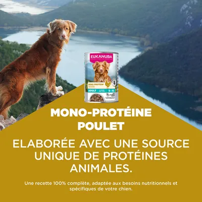 Eukanuba Special Care Adulte Mono-Protéine au poulet