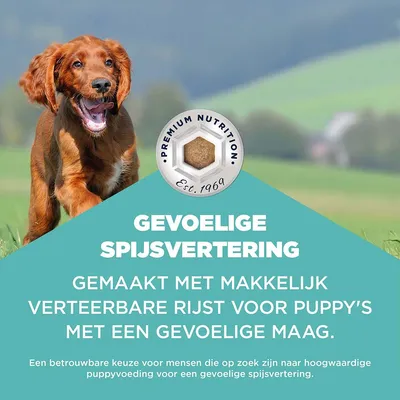 Eukanuba Special Care Sensitive Digestion Puppy met kip & kalkoen