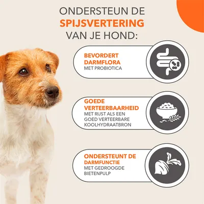 Ondersteun de spijsvertering van je hond: bevordert darmflora met probiotica, goede verteerbaarheid met rijst, ondersteunt darmfunctie met gedroogde bietenpulp.