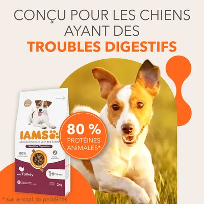 Texte : conçu pour les chiens ayant des troubles digestifs. 80 % protéines animales* sur le total de protéines. IAMS Sensitive Digestion avec dinde, 1+ ans, sac 2 kg.