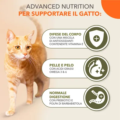Advanced Nutrition per supportare il gatto: difese del corpo con antiossidanti e vitamina E, pelle e pelo con acidi grassi omega 3 & 6, normale digestione con prebiotici e polpa di barbabietola.