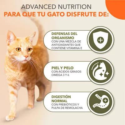 Texto: Advanced Nutrition para que tu gato disfrute de defensas del organismo, piel y pelo, digestión normal. Incluye beneficios: antioxidantes con vitamina E, omega 3 y 6, prebióticos y pulpa de remolacha.
