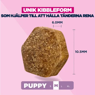 Eukanuba Premium Nutrition Puppy Medium Breed Chicken