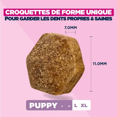 Croquettes Eukanuba Premium Nutrition Puppy Large et Giant Breed au poulet