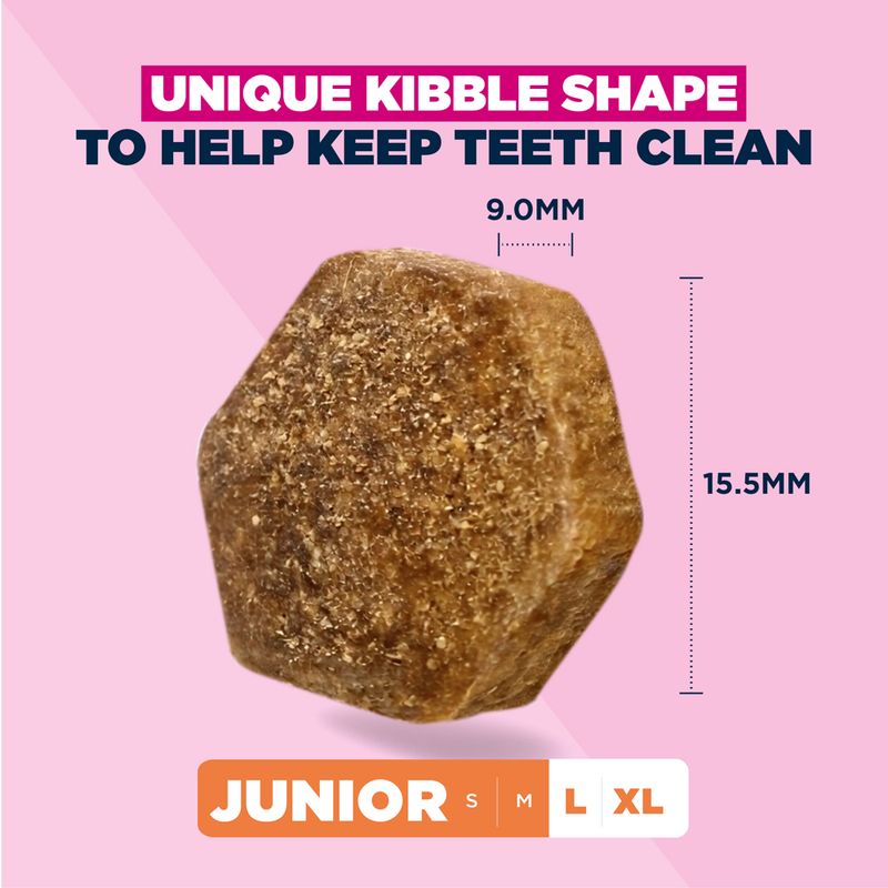 Eukanuba Premium Nutrition Junior Large & Giant Breed Kylling