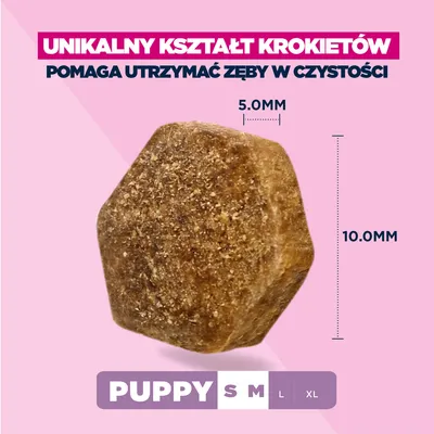 Eukanuba Premium Nutrition Puppy Small & Medium Breed, jagnięcina i ryż