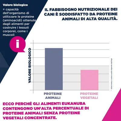 Eukanuba Premium Nutrition Puppy Small & Medium Breed Agnello & Riso