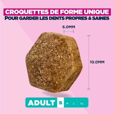 Eukanuba Premium Nutrition Adult Small Breed au poulet