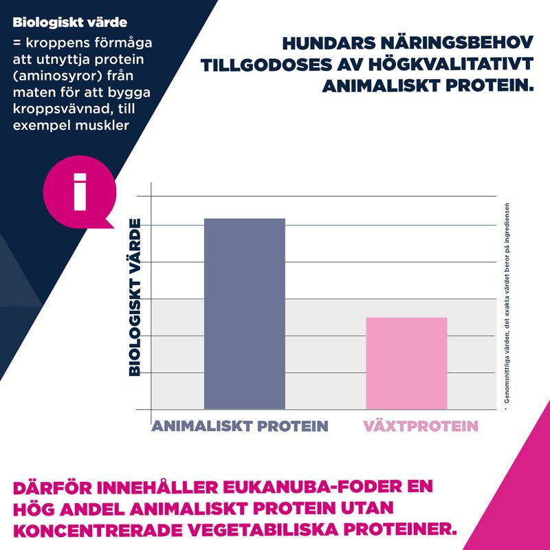 Eukanuba Premium Nutrition Adult Small Breed Chicken
