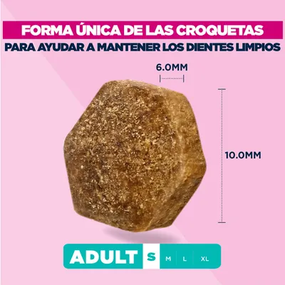 Eukanuba Premium Nutrition Adult Small Breed pollo