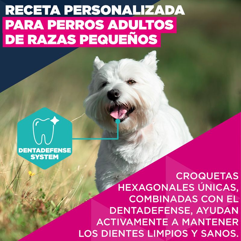 Eukanuba Premium Nutrition Adult Small Breed pollo