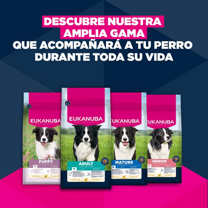 Eukanuba Premium Nutrition Adult Medium Breed pollo