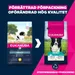 100 g Eukanuba Premium Nutrition Adult Medium Breed kyckling på köpet!