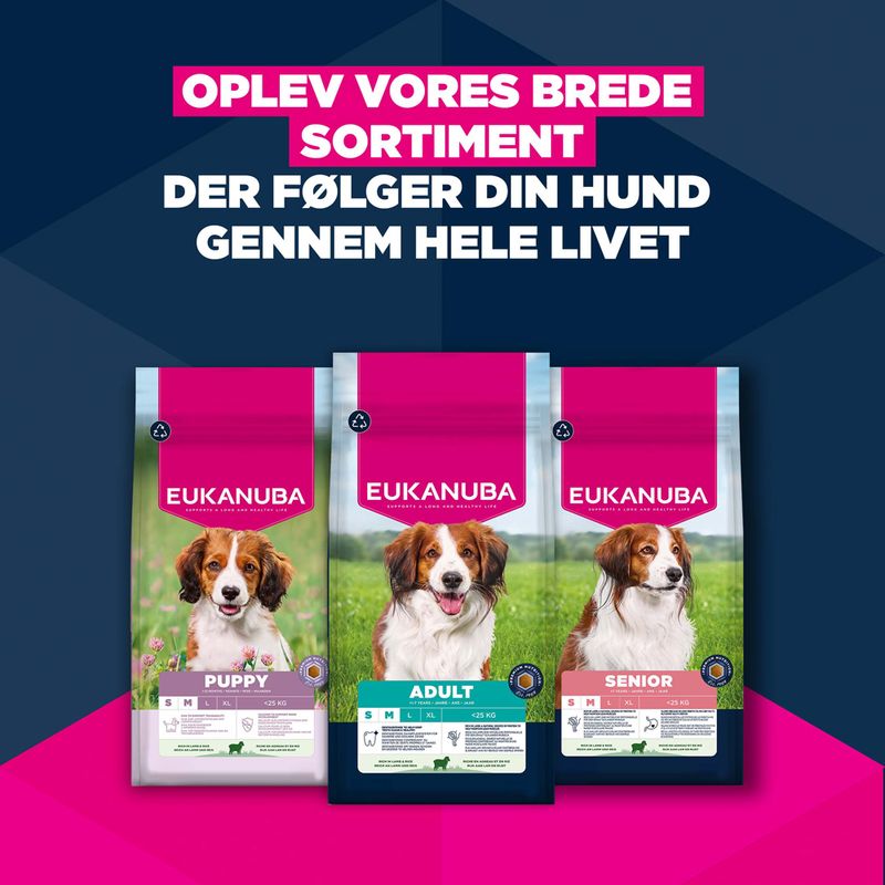 Eukanuba Premium Nutrition Adult Small & Medium Breed Lam & Ris