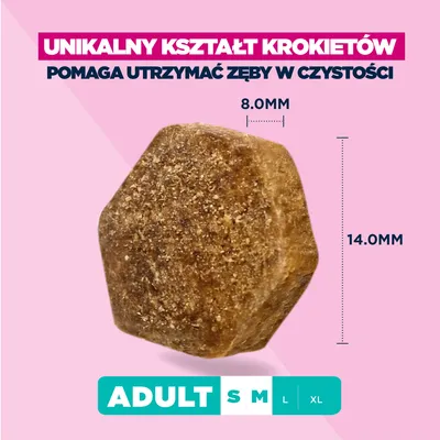 Eukanuba Premium Nutrition Adult Small & Medium Breed, łosoś