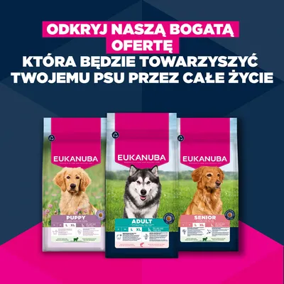 Eukanuba Premium Nutrition Adult Large & Giant Breed, łosoś