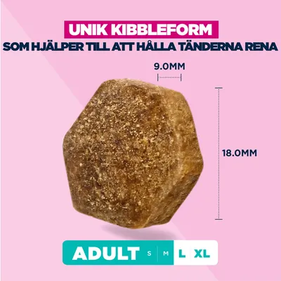 Eukanuba Premium Nutrition Adult Large & Giant Breed Salmon