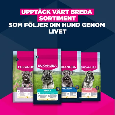 Eukanuba Premium Nutrition Mature Small Breed Chicken