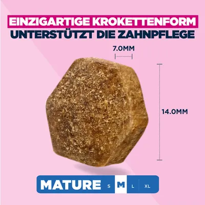 Eukanuba Premium Nutrition Mature Medium Breed Huhn