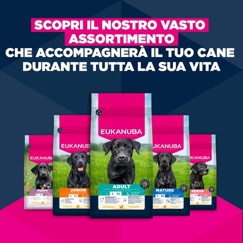 Eukanuba Premium Nutrition Mature Large & Giant Breed Pollo