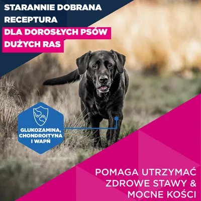 Eukanuba Premium Nutrition Mature Large & Giant Breed, kurczak