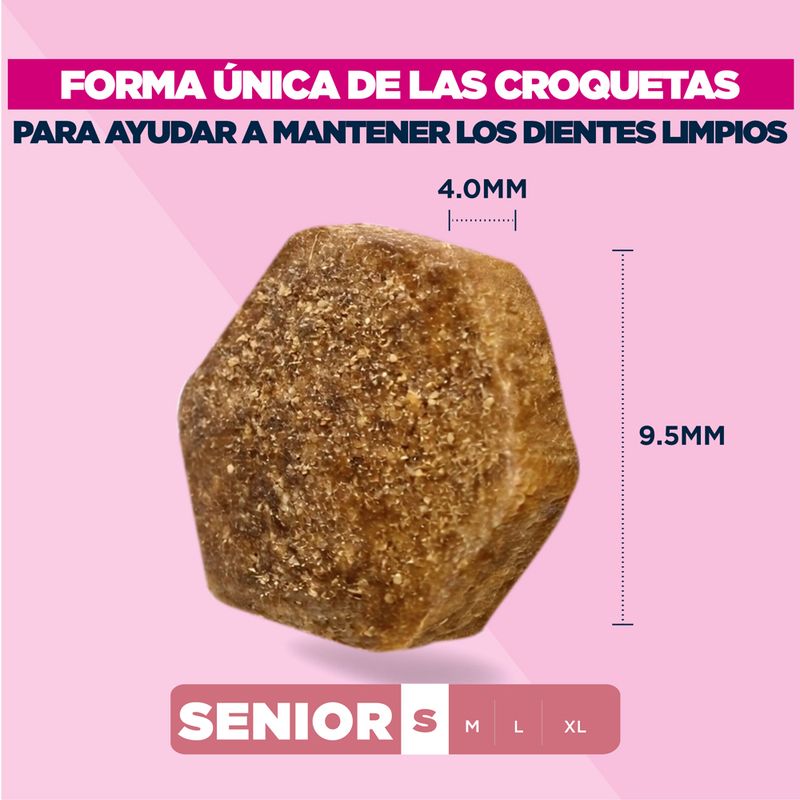 Eukanuba Premium Nutrition Senior Small Breed pollo