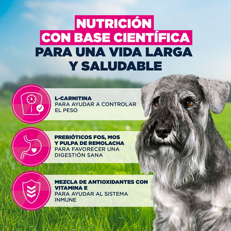 Eukanuba Premium Nutrition Senior Small Breed pollo