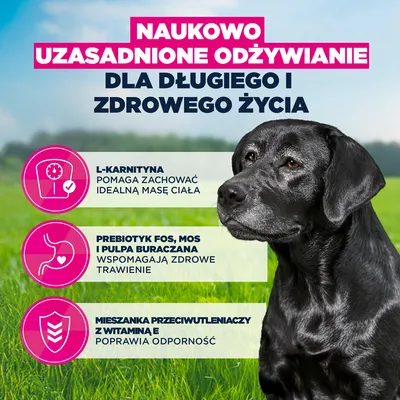 Eukanuba Premium Nutrition Senior Large & Giant Breed, kurczak