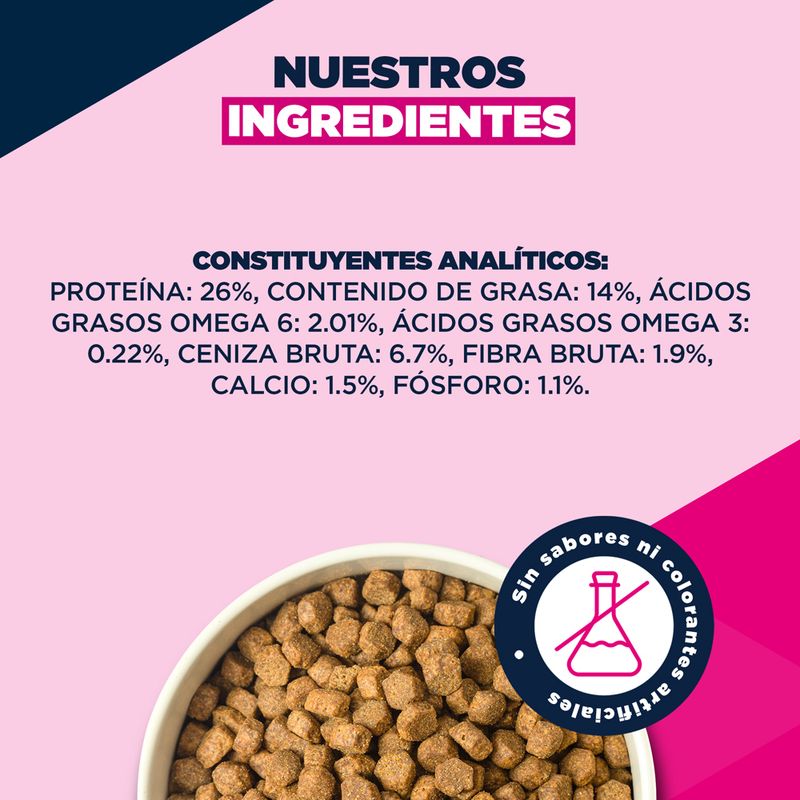 Eukanuba Premium Nutrition Senior Small & Medium Breed cordero y arroz