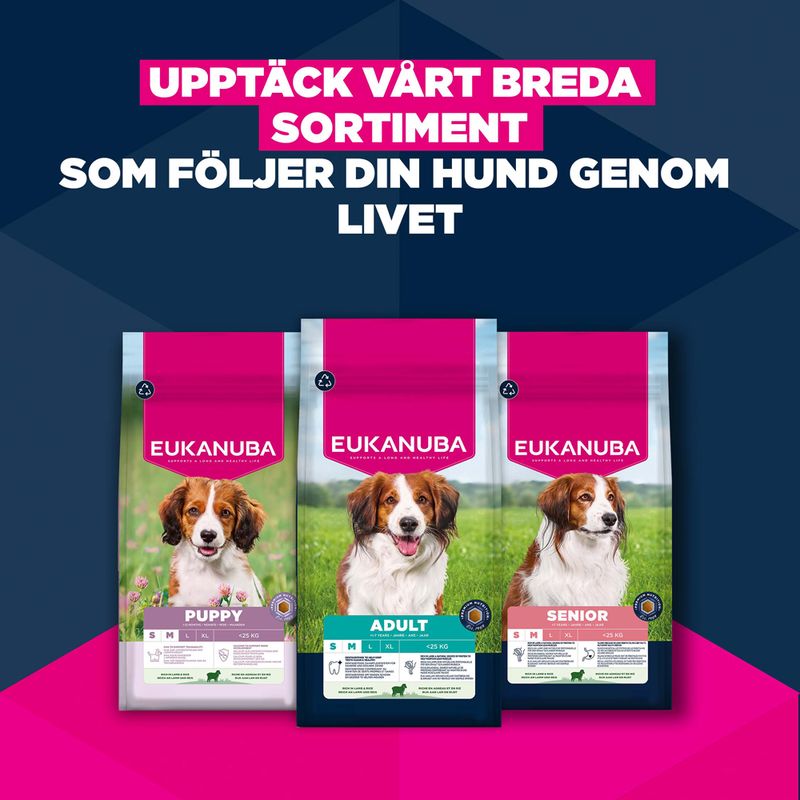 Eukanuba Premium Nutrition Senior Small & Medium Breed Lamb & Rice