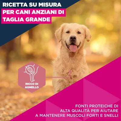 Eukanuba Premium Nutrition Senior Large & Giant Breed Agnello & Riso
