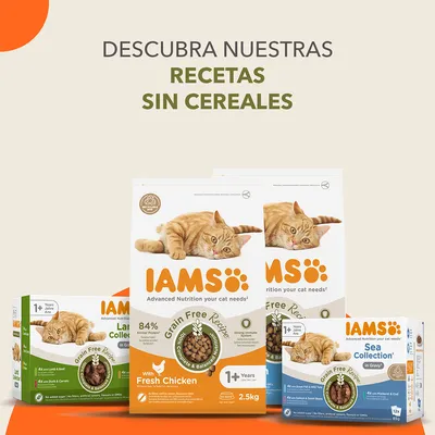 Descubra nuestras recetas sin cereales. IAMS Grain Free Recipe para gatos, con pollo fresco, cordero, pato, zanahorias, merluza y bacalao. 84 % proteína animal. Para gatos de 1+ años.