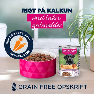 Eukanuba Puppy Rig på kalkun og gulerødder