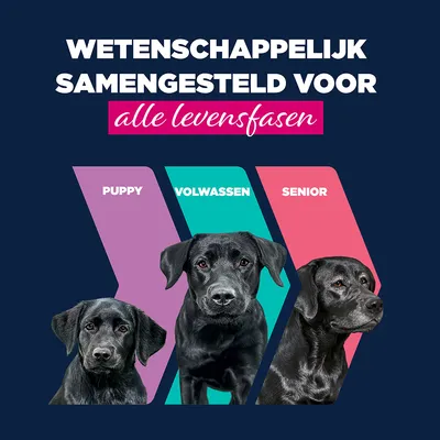 Eukanuba Puppy Rijk aan Rundvlees met Pompoen