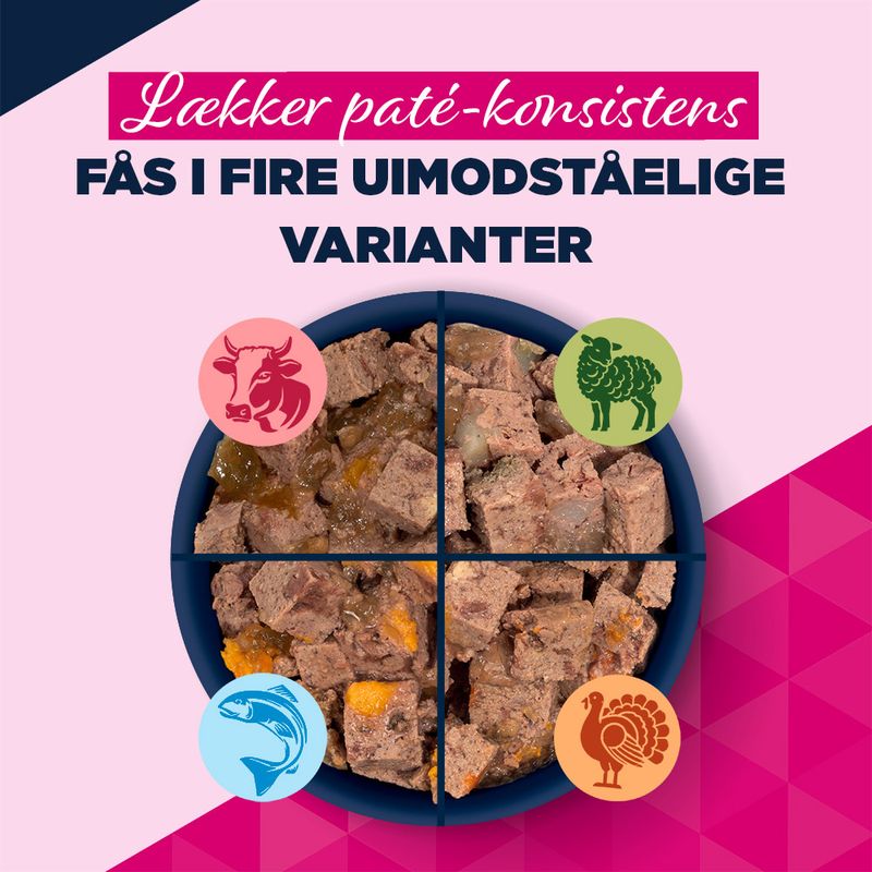 Eukanuba Senior Rig på okse med græskar