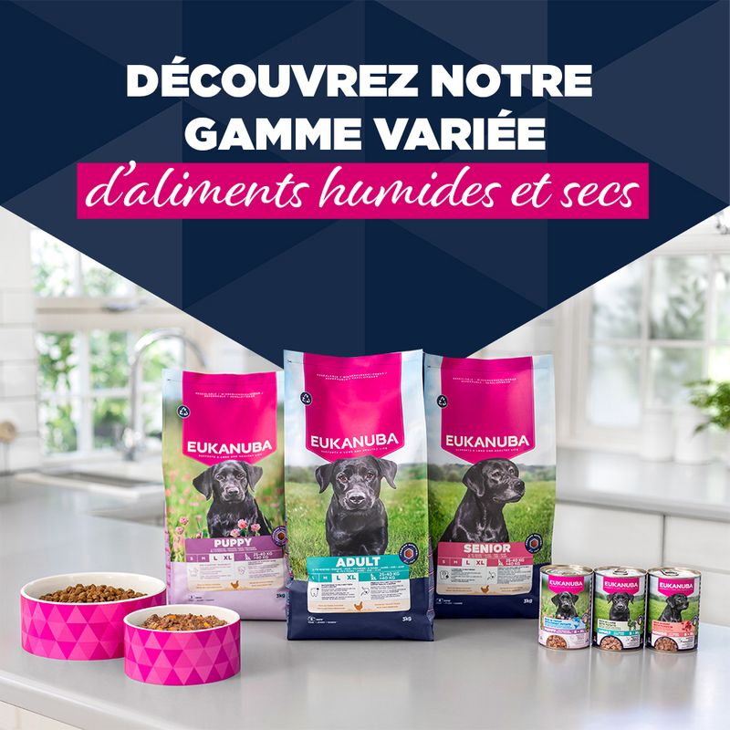 Eukanuba Senior Riche en Bœuf et Citrouille