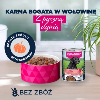 Eukanuba Senior, wołowina z dynią
