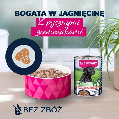 Eukanuba Senior, jagnięcina z ziemniakami
