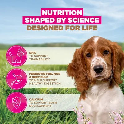 Eukanuba Grain Free Puppy Small & Medium Breed Ocean Fish