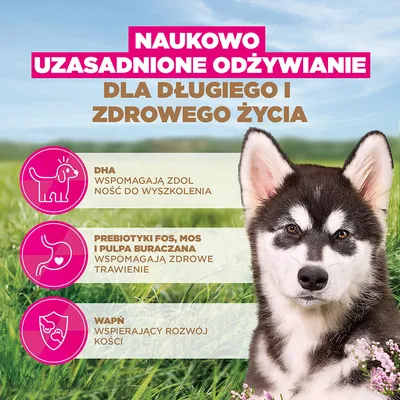 Eukanuba Grain Free Puppy Large & Giant Breed, ryba morska