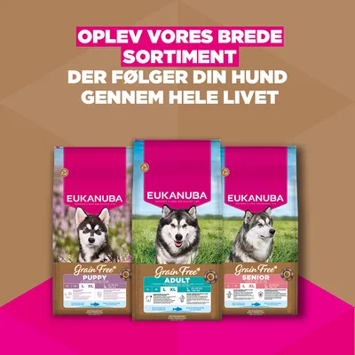 Eukanuba Grain Free Senior Large & Giant med havfisk